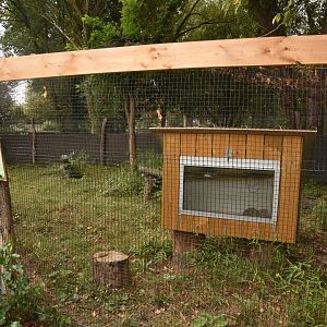 Leopard cat enclosure