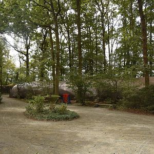 Egyptian Rousette tunnel from the outside