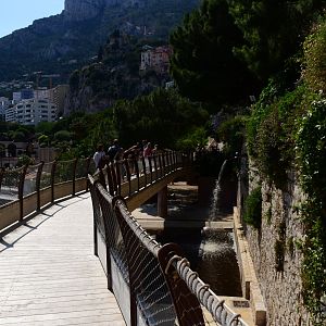 Walkthrough over the hippo exhibit
