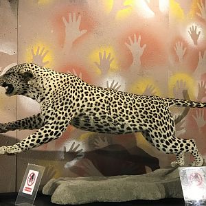 Humankind declares “I Am”