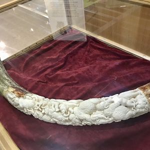 Carved Mammoth Tusk