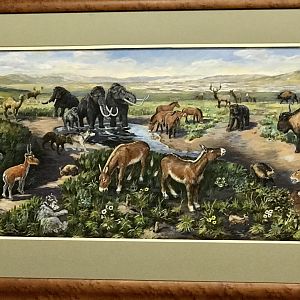 Illustration of Ice Age Fauna