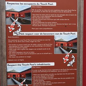 Koi touch pond rules signage, 2020-09-03