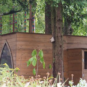 Backside of the common barn owl aviary, 2020-09-02