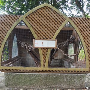 Common barn owl aviary, 2020-09-02