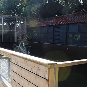 Banded mongoose enclosure ( front ) and Finlayson's squirrel enclosure ( back )