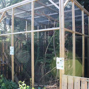 Finlayson's squirrel enclosure