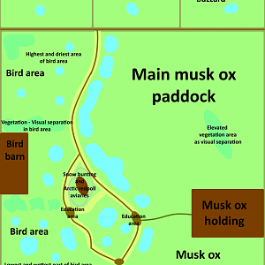 Make a Mixed Species Exhibit For That Animal - Musk ox / Nunavut Tundra