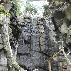 Entry Exhibit Waterfall