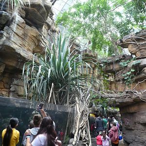 Australia: Wild Extremes; General View