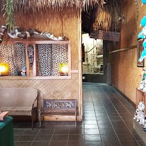 Rainforest Adventures - Inside Entrance