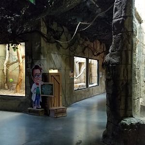 Rainforest Adventures - View inside entrance
