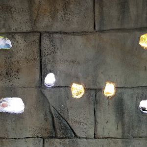 Rainforest Adventures - Wall of tiny exhibits