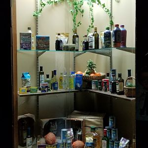 Rainforest Adventures - Examples of products that use rainforest items