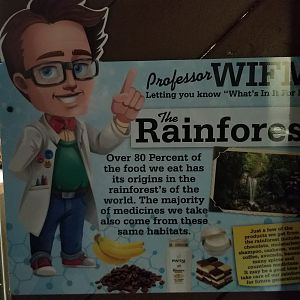 Rainforest Adventures - Rainforest items sign