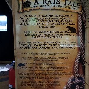 Rainforest Adventures - A Rat's Tale sign