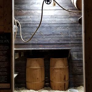 Rainforest Adventures - A Rat's Tail - Ferrets