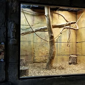 Rainforest Adventures - Brown Lemur exhibit