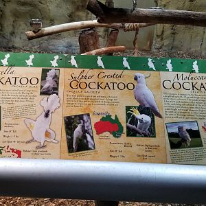 Rainforest Adventures - Cockatoo signs