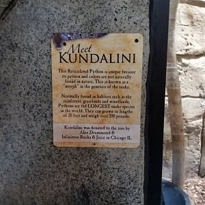 Rainforest Adventures - Reticulated Python sign