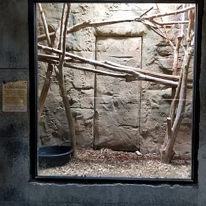 Rainforest Adventures - Reticulated Python exhibit