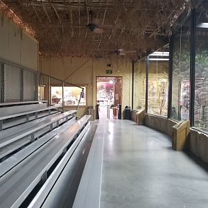 Rainforest Adventures - Presentation area, doorway is exit to gift shop