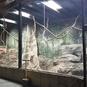Rainforest Adventures - African Crested Porcupine exhibit