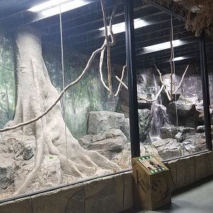 Rainforest Adventures - African Crested Porcupines exhibit