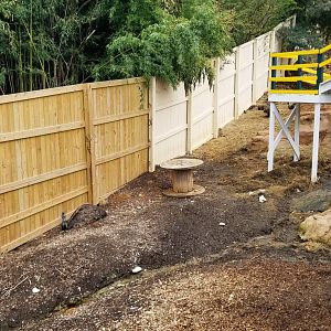 Rainforest Adventures - Outside - Emu and goats