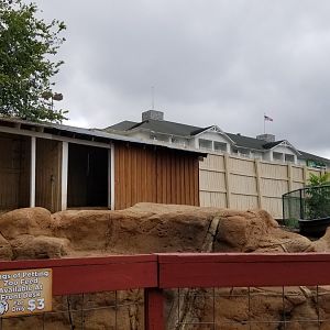 Rainforest Adventures - Outside - Emu and goats