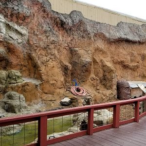 Rainforest Adventures - Outside - Sulcata Tortoises