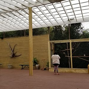 Rainforest Adventures - Outside - covered area