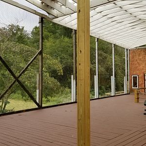 Rainforest Adventures - Outside - covered area