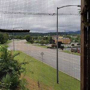 Rainforest Adventures - Outside - View of road