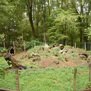 Alpine Marmot enclosure