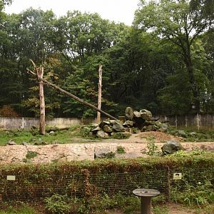 Brown Bear enclosure