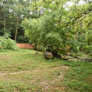 Asian Small-clawed Otter enclosure