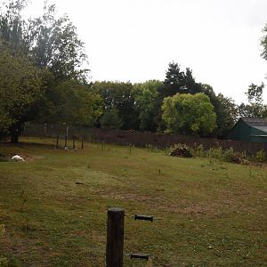 Lowland Tapir enclosure