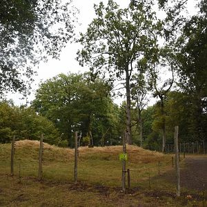 Ring-tailed & Brown Lemur walkthrough