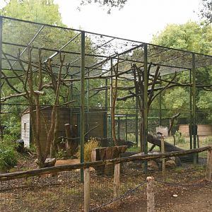 Tayra aviaries