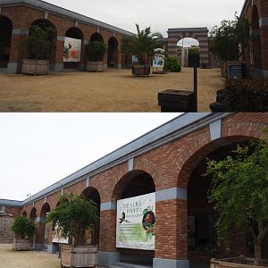 New Breeding center for Endangered birds, 2020-09-03