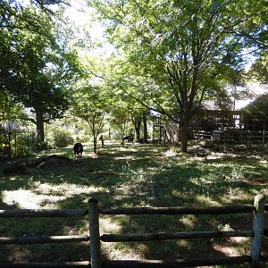 9/13/2020 - Mixed-Species Habitat