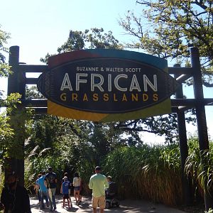 9/13/2020 - African Grasslands Entrance