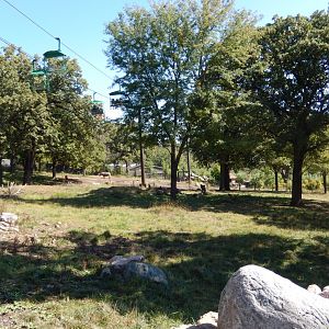 9/13/2020 - Giraffe Savanna - Left Third