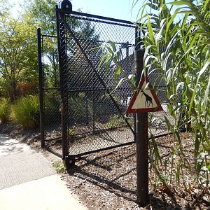 9/13/2020 - Giraffe Crossing Gate