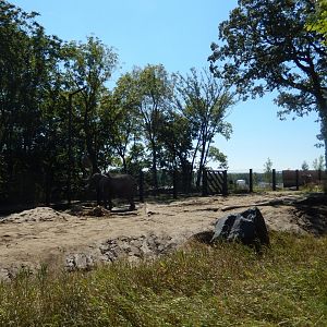 9/13/2020 - First African Elephant Habitat