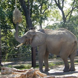 9/13/2020 - Browsin' for Lunch