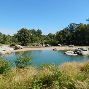 9/13/2020 - Elephant Savanna - Left Third