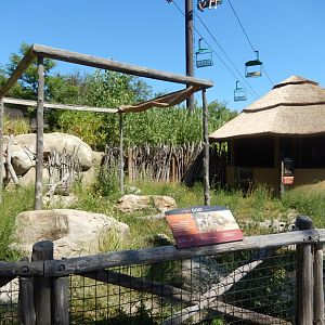 9/13/2020 - Goat Petting Kraal