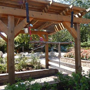 9/13/2020 - Galah Perch